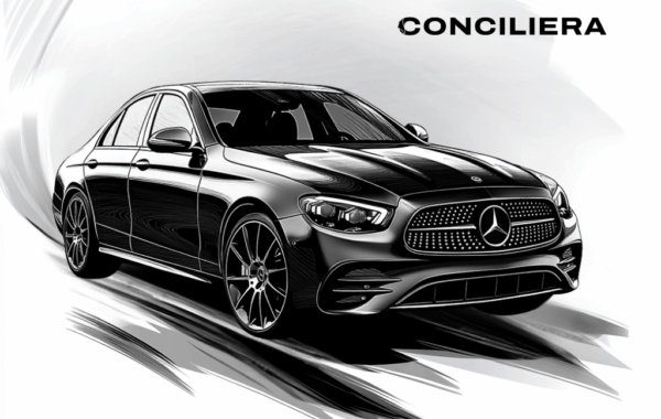 Luxury Mercedes-Benz E-Class sedan with professional chauffeur for executive and VIP transfers